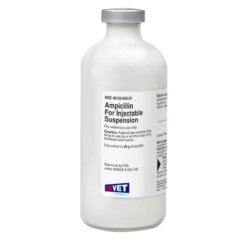 An image of ampicillin for injectable suspension for sale